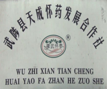 武陟縣天成懷藥發(fā)展合作社