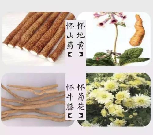 懷川名片-四大懷藥